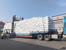 把握機(jī)遇、鉚足干勁、承勢(shì)而上