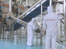 2025年的第一個(gè)月，承德亞歐果仁有限公司在山杏產(chǎn)業(yè)的道路上持續(xù)奮進(jìn)，展現(xiàn)出蓬勃的發(fā)展活力。